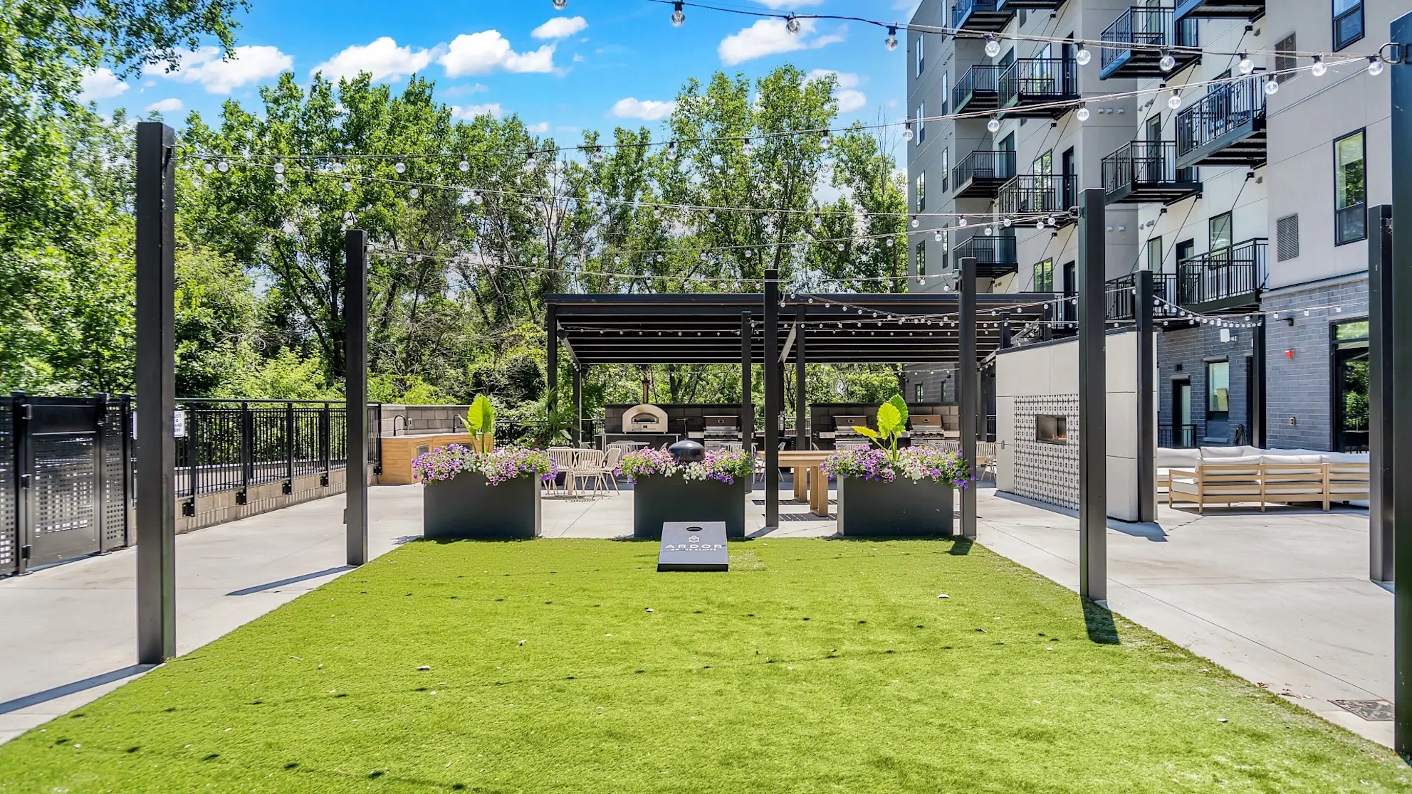 The Ardor — photo 6