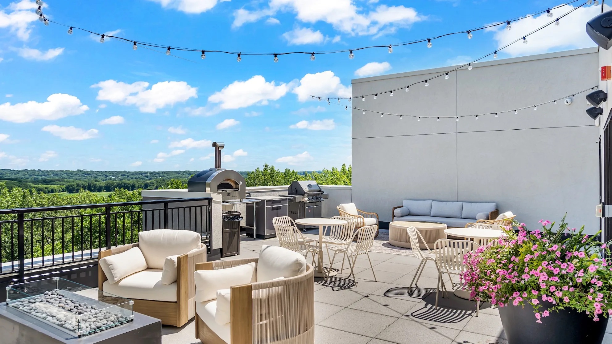 The Ardor — photo 12