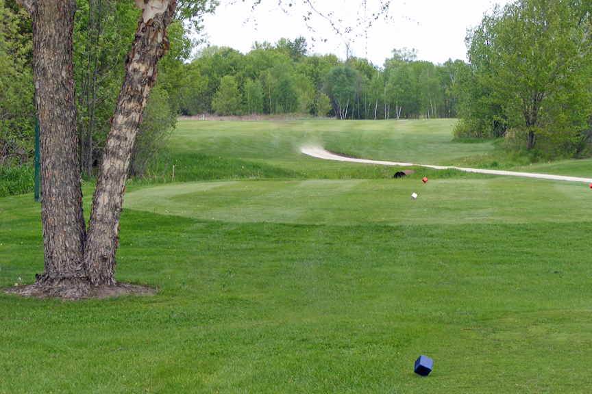 Falcon Ridge Golf Course — photo 3